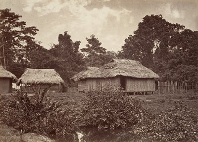 Tropisk natur, Turbo Village, 1871. av John Moran