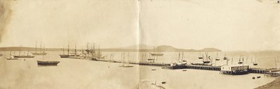 Auckland Harbour, 1865 (albumtrykk) av John Nicol Crombie