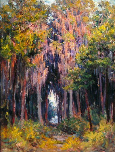 Hanging Moss, St. Petersburg (olje på lerret) av John Otis Adams