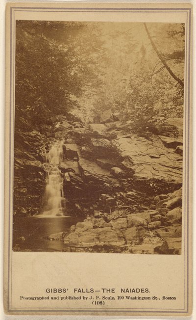  av John P. Soule