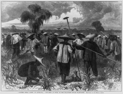 "Kinesisk billig arbeidskraft" i Louisiana - kinesere på jobb på Milloudon Sugar Plantation av John Parker Davis