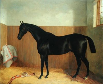 Tommy, Portrait of a Horse, ca. 1870-tallet (olje på lerret) av John Paul