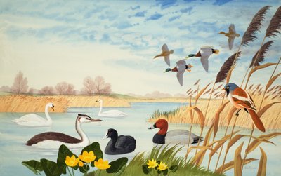 av John Rignall