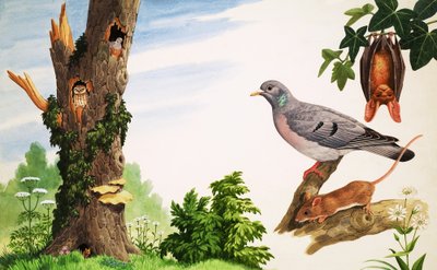  av John Rignall