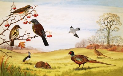  av John Rignall