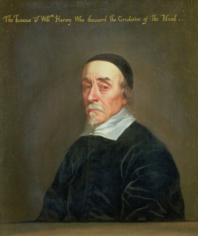 Portrett av William Harvey (1578–1657) av John Riley