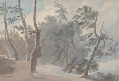  av John Robert Cozens