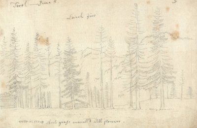 I Tyrol av John Robert Cozens