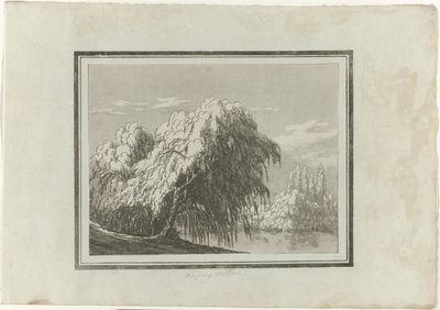 Gråtpil av John Robert Cozens