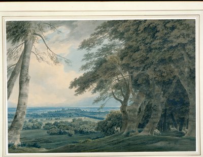 Windsor Castle fra sørvest, ca. 1787-99 (wc på papir) av John Robert Cozens