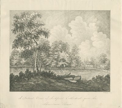 Lichfield Cathedral - West South West view (fjern): pennetegning av John Robert Fernyhough