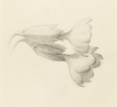 Cowslip Bells, sannsynligvis 1871. av John Ruskin