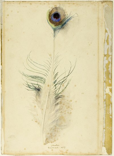 Påfuglfjær av John Ruskin