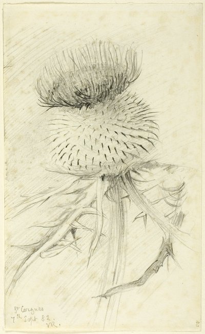 St. Cergues av John Ruskin