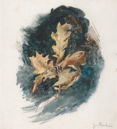 Studie av et eikeblad av John Ruskin