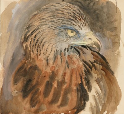 The Head of a Kite, fra Life, 30. august - 1. september 1870. av John Ruskin