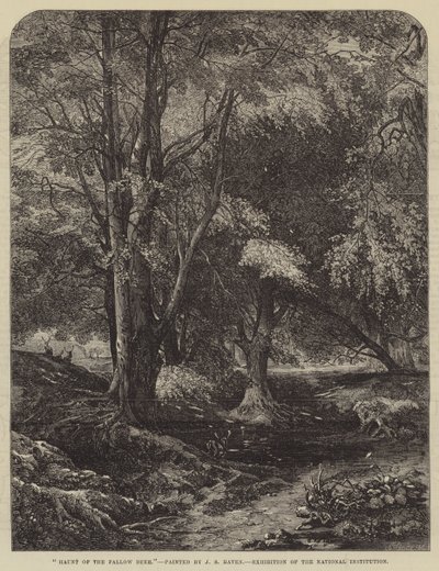 Tilholdssted for dåhjorten av John Samuel Raven