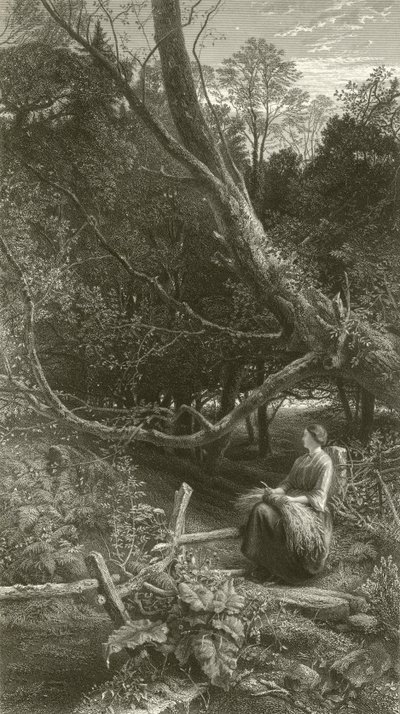 Skumring i skogen av John Samuel Raven