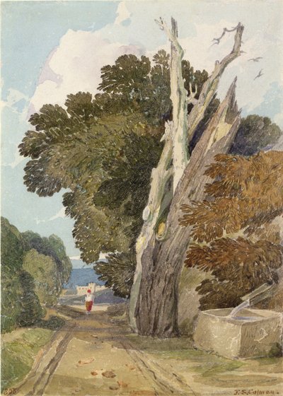 Et spansk kastanjetre truffet av lynet (wc og blyant på papir) av John Sell Cotman