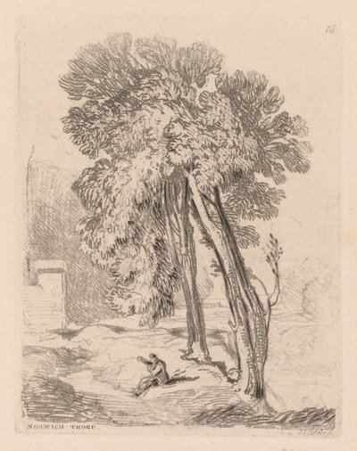 Liber Studiorum: Plate 18, Trees at Norwich Thorp, Norfolk av John Sell Cotman