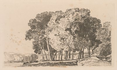 Liber Studiorum: Plate 3, trær nær Twickenham av John Sell Cotman