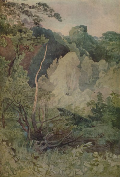 Trær nær elven Greta, 1923 av John Sell Cotman