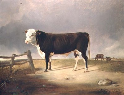 Kansleren av John Sheriff