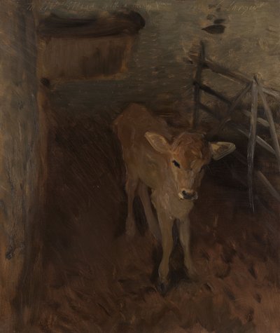 En Jersey-kalv av John Singer Sargent