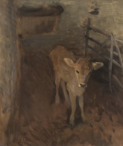 En Jersey-kalv, 1893 av John Singer Sargent