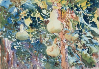 Kalebasser, ca. 1905 (wc på papir) av John Singer Sargent