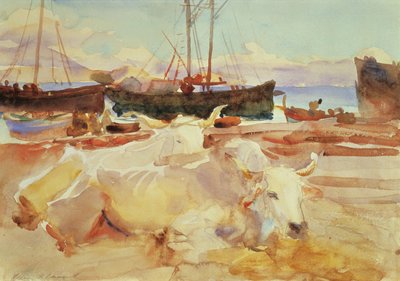 Okser på stranden ved Baia, ca. 1908 (wc på papir) av John Singer Sargent