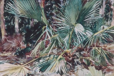 Palmettos, 1917 (wc, grafitt og voksstift på hvitt vevd papir) av John Singer Sargent