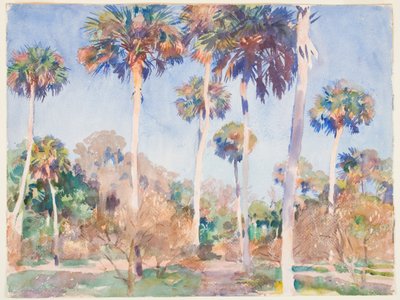 Palms, 1917 (wc over grafitt på papir) av John Singer Sargent