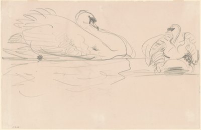Svaner i vannet, 1880-1900. av John Singer Sargent