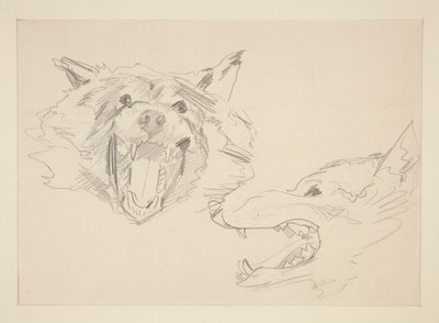 Două vederi ale unui Wolfnorwegian av John Singer Sargent