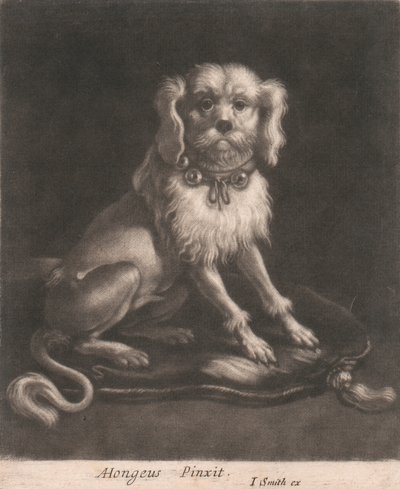 En liten hund, iført et halsbånd. av John Smith