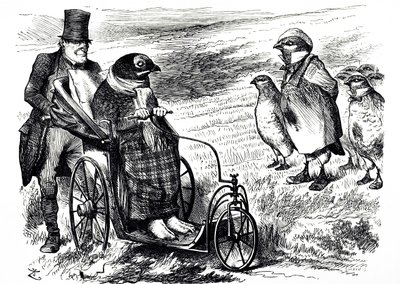 En tegneserie som kommenterer suspensjonen av Grouse Shooting for å la bestanden gjenoppbygges. Illustrert av John Tenniel (1820-1914), en engelsk illustratør, grafisk humorist og politisk tegneserieskaper av John Tenniel