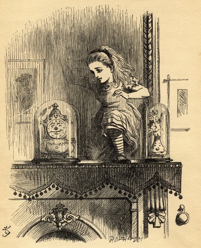 Alice in the Looking Glass House, illustrasjon fra 