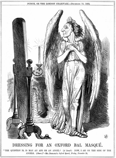 Benjamin Disraeli (1804–81) britisk konservativ statsmann. 'Nå er jeg på englenes side'. John Tenniel tegneserie fra Punch, London av John Tenniel