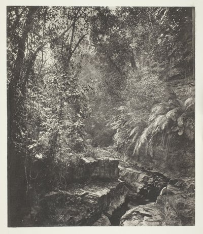  av John Thomson