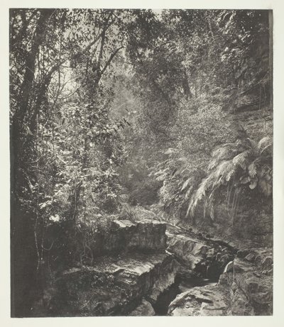 Et fjellpass i Formosa, ca. 1868. av John Thomson