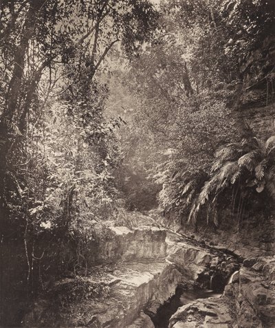  av John Thomson