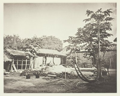  av John Thomson