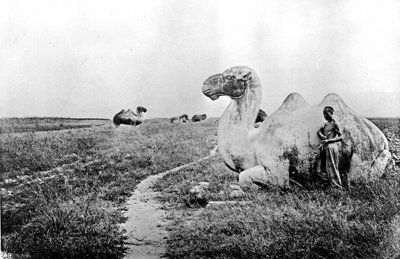 Kina, utskårne kameler fra Imperial Way, ca. 1870 (bilde) av John Thomson