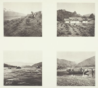  av John Thomson