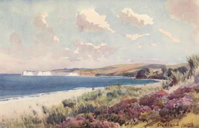 Studland Bay (fargelitografi) av John W.G. Bond