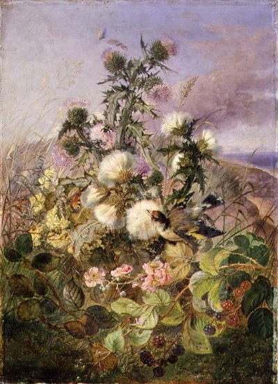 En gullfink og en sommerfugl blant tistler og bjørnebærblomster av John Wainwright