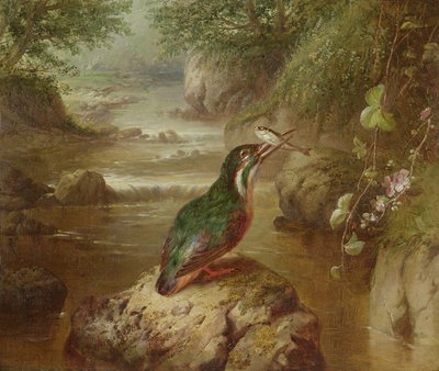 Isfuglens tilholdssted av John Wainwright