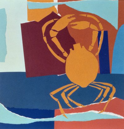 Edderkoppkrabbe av John Wallington