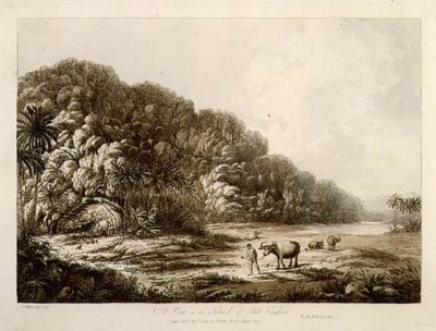 A View in the Island of Pulo Condor, fra "Views in the South Seas", pub. 1792 (radering) av John Webber